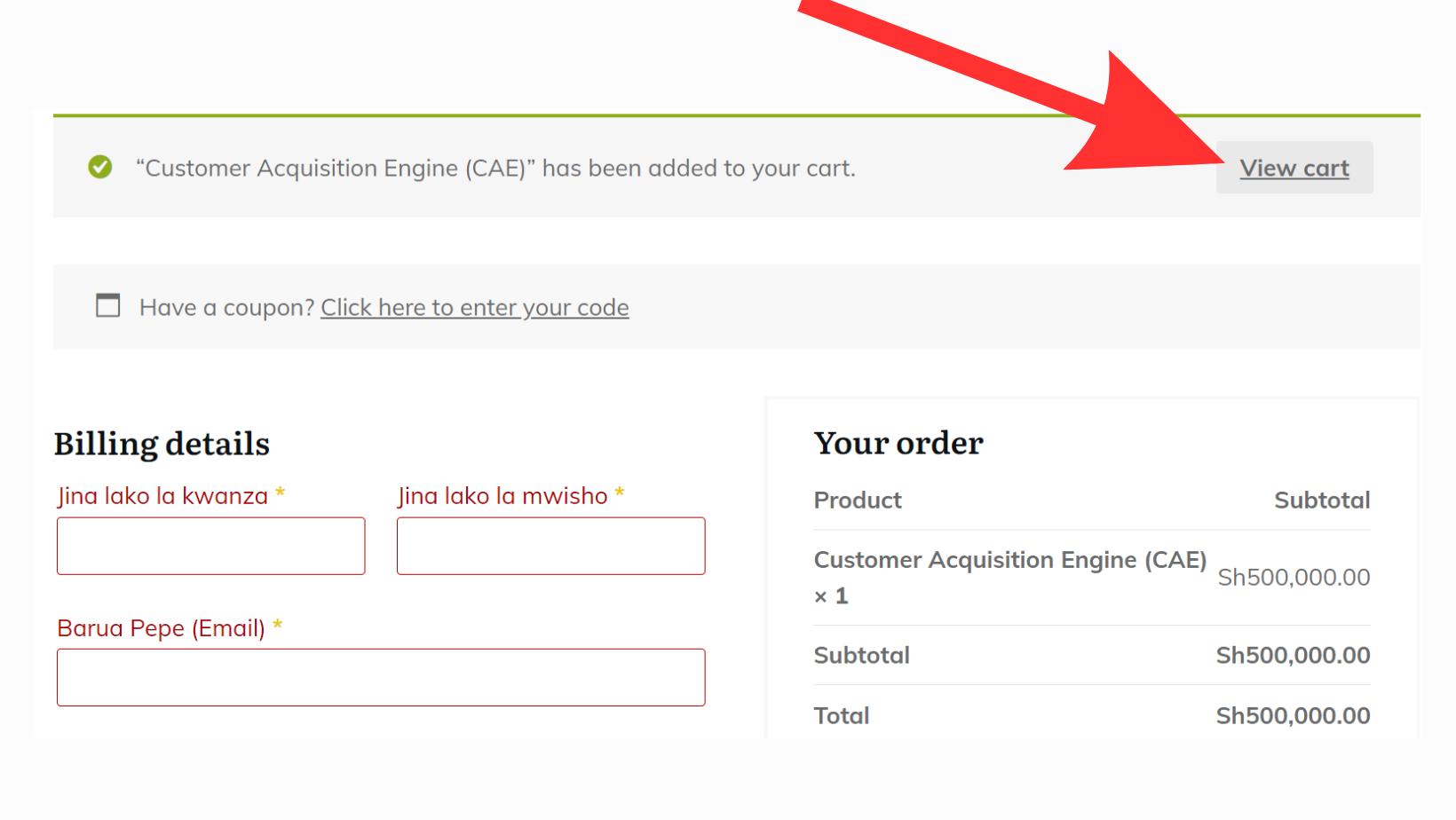 CAE payment-2