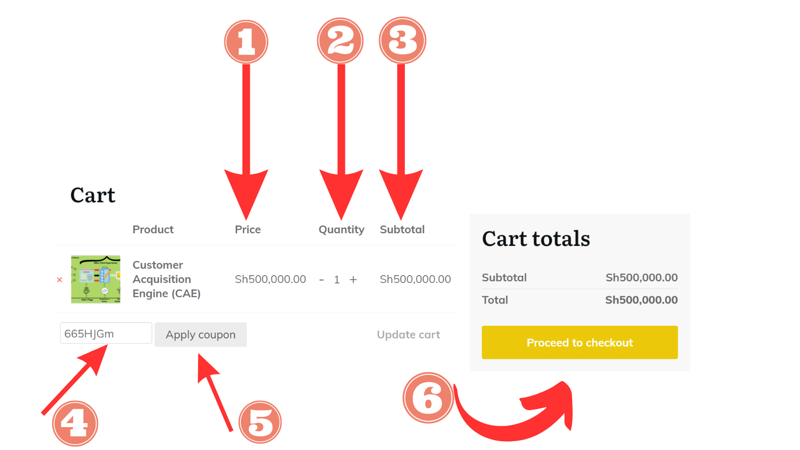 CAE payment-3