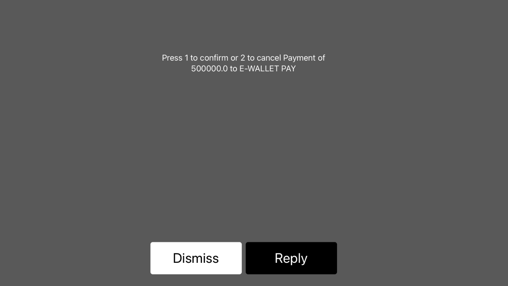 CAE payment-9