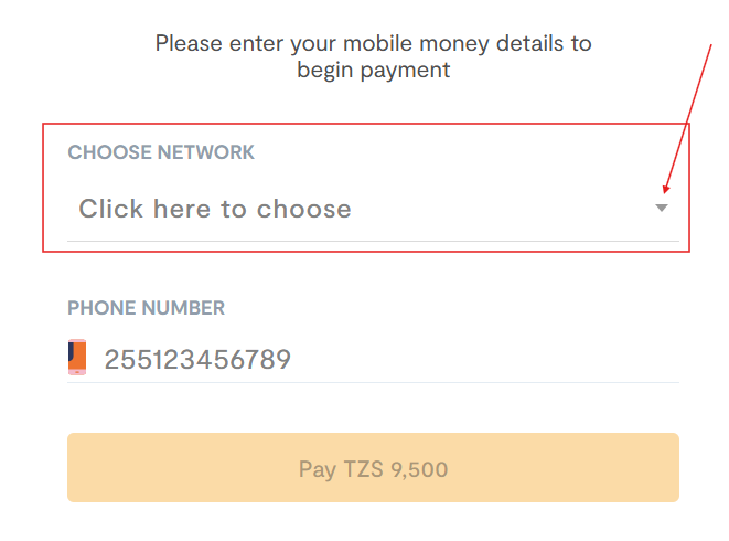 Mwongozo payment 01