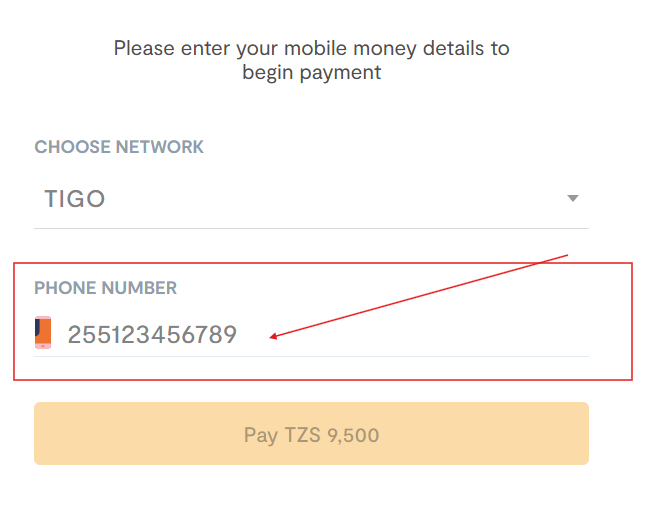 Mwongozo payment 02